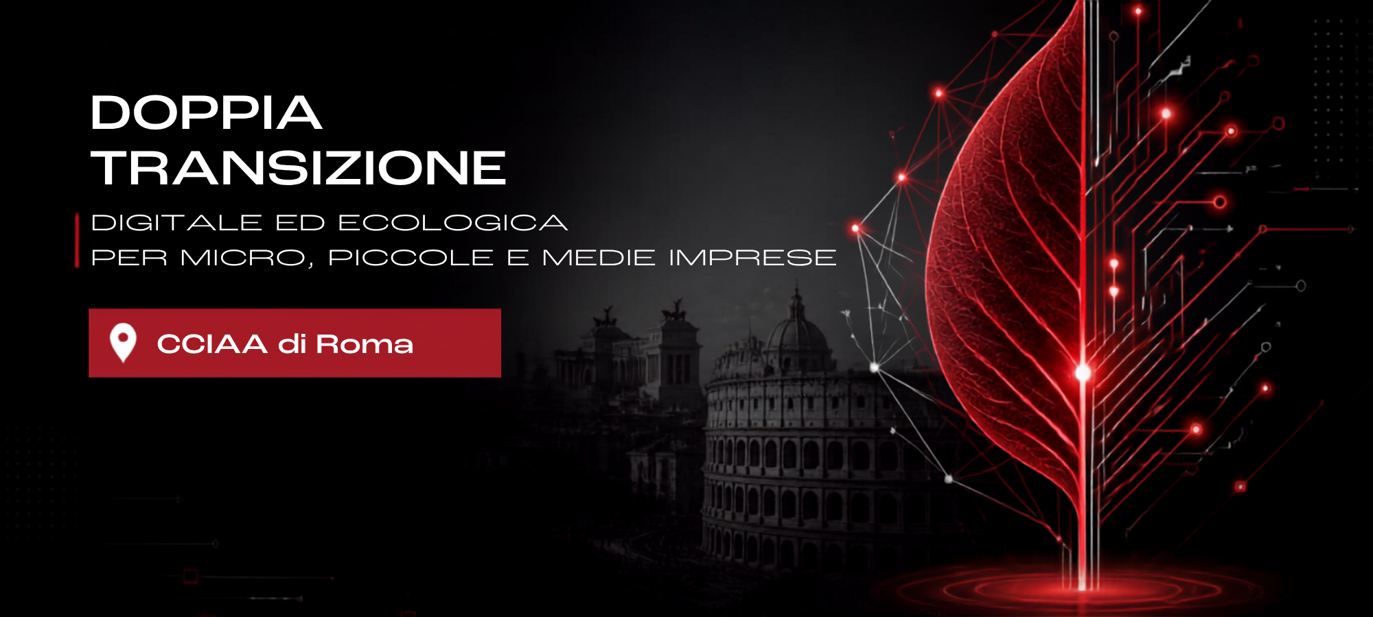 Doppia Transizione Digitale ed Ecologica per micro, piccole e medie imprese CCIAA Roma